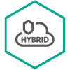 Kaspersky Hybrid Cloud